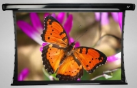 Elite Screens TE84 HW2