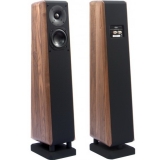 Chario Constellation Cygnus