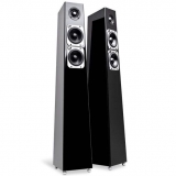 Totem Acoustic Tribe Tower