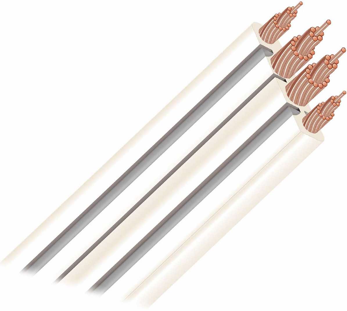 AudioQuest FT-4 SPL фото № 1 Фото № 1 AudioQuest FT-4 SPL - цены, наличие, отзывы в интернет-магазине