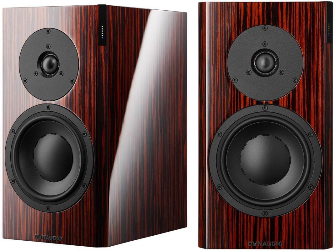 Dynaudio special forty