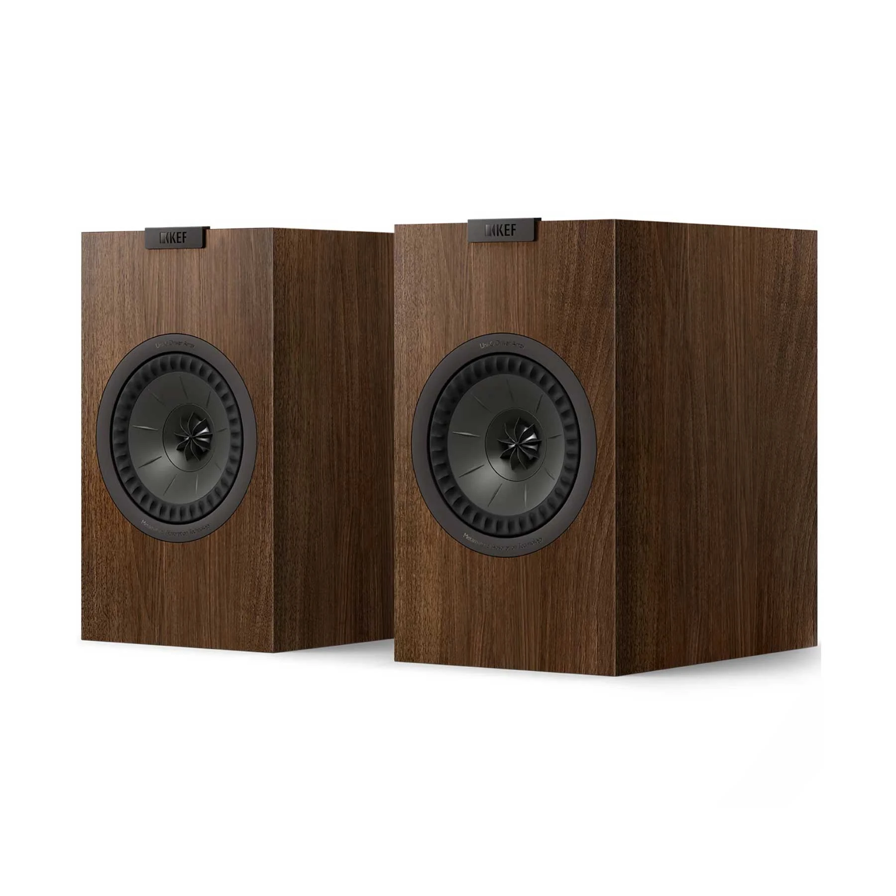 KEF Q1 Meta walnut