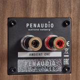 Фото № 4 Penaudio Ambient One - цены, наличие, отзывы в интернет-магазине